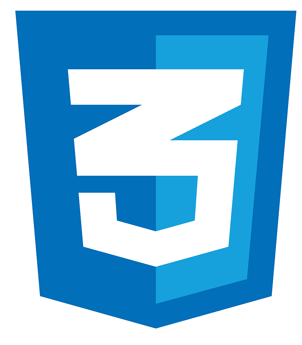 CSS logo